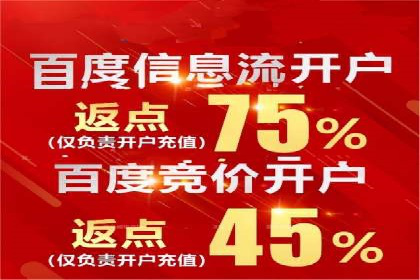 谷歌竞价案例：跨境电商广告投放策略